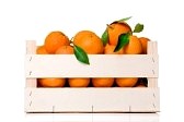 7978398-freschi-e-maturi-frutti-arancioni-con-foglie-in-una-cassa-di-legno-isolato-su-sfondo-bianco