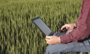 agricoltore-computer-campo-di-grano-anziano-pc